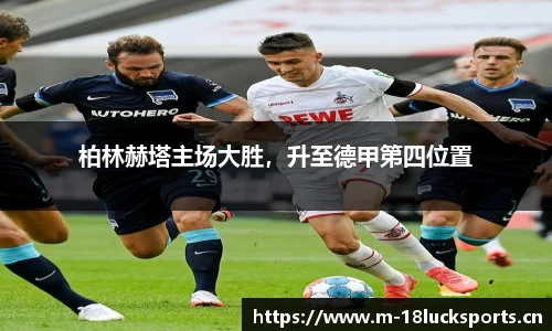 新利体育平台