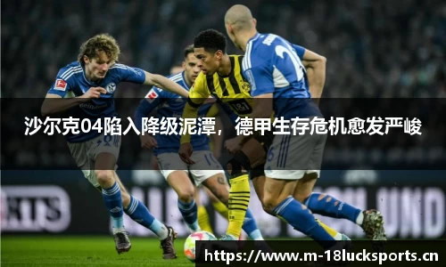 新利体育