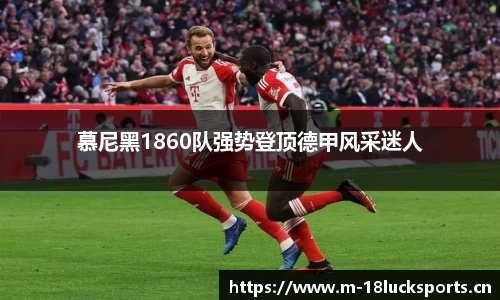 新利体育官网