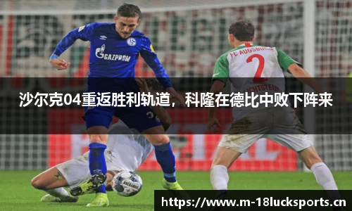 新利体育平台