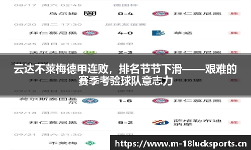 新利体育官方网站