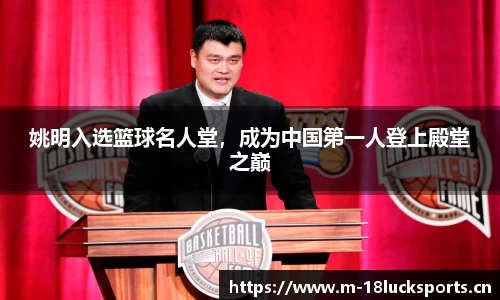 新利体育官网