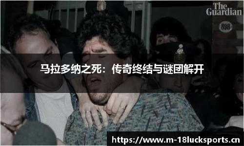 新利体育官方网站