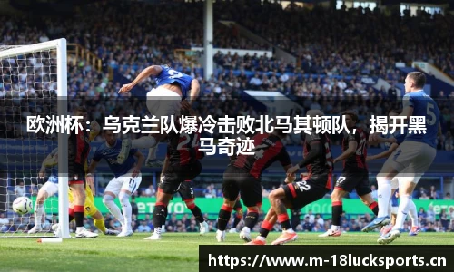 新利体育官方网站