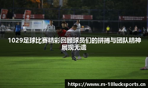 新利体育官网