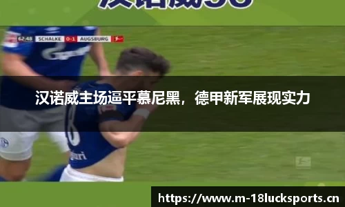 新利体育
