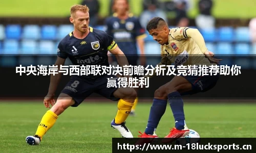 新利体育