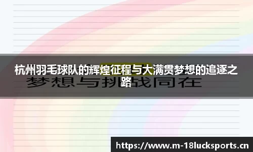 杭州羽毛球队的辉煌征程与大满贯梦想的追逐之路