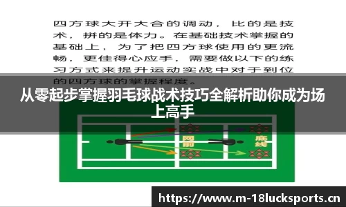 新利体育
